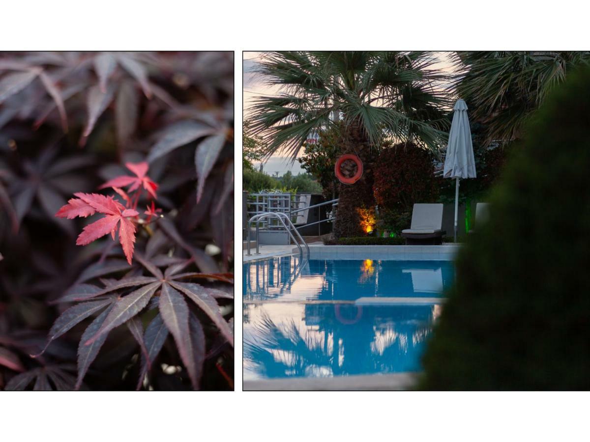 Anthodi Hotel Stavros  Ngoại thất bức ảnh
